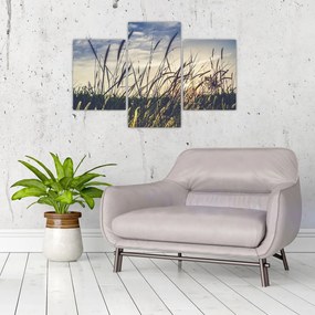 Tablou cu flori de câmp (90x60 cm)