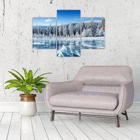 Tablou cu lacul înghețat și copacii înzăpeziți (90x60 cm)