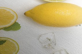 Tablou amestec de fructe citrice