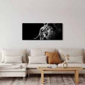 Tablou - Leu, alb și negru (120x50 cm)