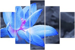 Tablou florilor în detailu (150x105 cm)