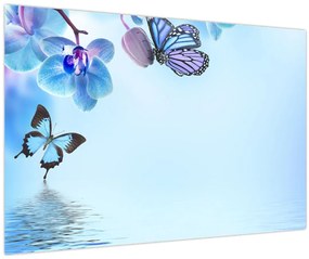 Tablou - Fluture pe flori de orhidee, albastru (90x60 cm)
