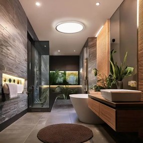 Solight WO826-LED Lampă de tavan pentru baie ACATE, 24W/230V, 3000/4000/6000K, pr.29,3cm, IP54