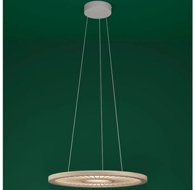 Lustră LED dimabilă pe cablu Eglo 390297 DEHESA LED/36W/230V 4000K