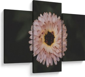 Tablou cu floare portocalie (90x60 cm)