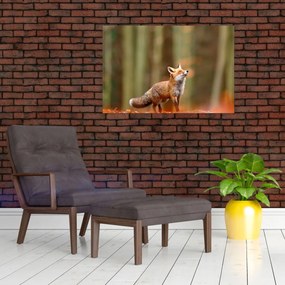 Tablou - Vulpe (90x60 cm)