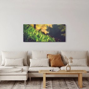 Tablou - Ciupercă și muschi (120x50 cm)