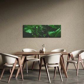 Tablou - Frunze de palmier (cu ceas) (90x30 cm)