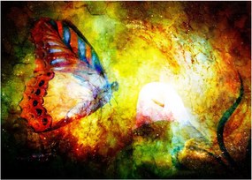 Tablou - Fluture spațial (70x50 cm)