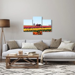 Tablou cu farma de lalele (90x60 cm)