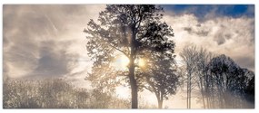 Tablou cu copac în ceață (120x50 cm)