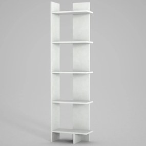 Biblioteca Perla White