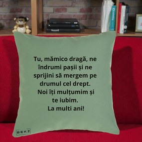 Cadou pentru Mama - Perna Personalizata Mamico Draga Te Iubim La Multi Ani cu Text Negru, 40x40 cm, Verde, Husa Detasabila, Perna Inclusa, BEKZ®