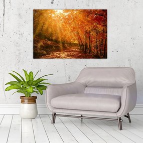 Tablou cu pădurea în toamnă (90x60 cm)