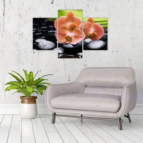 Tablou - Orhidee portocalie cu frunze de palmier (90x60 cm)