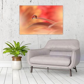 Tablou picăturii de rouă pe floare (90x60 cm)