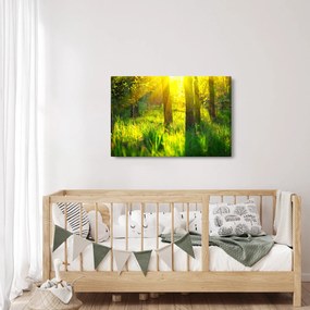 Tablou - Trezirea de primăvară a pădurii (90x60 cm)