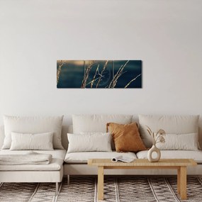 Tablou cu ierburi (cu ceas) (90x30 cm)