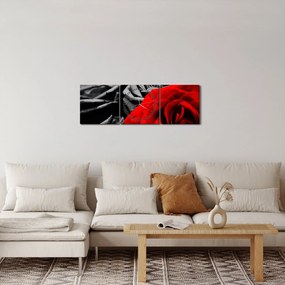 Tablou - Flori de trandafir (cu ceas) (90x30 cm)
