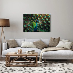 Tablou – Păun (90x60 cm)