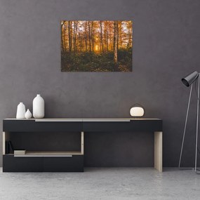 Tablou pe sticlă - Pădurea toamna (70x50 cm)