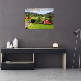 Tablou pe sticlă cu țară (70x50 cm)