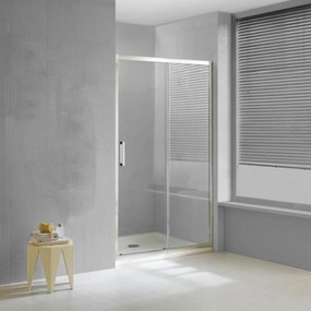 Ușă de duș glisantă Premier cu finisaj Easy Clean 100x190 cm
