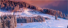 Tablou - Peisaj de iarnă (120x50 cm)