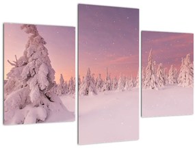 Tablou - Copaci sub așternut de zăpadă (90x60 cm)