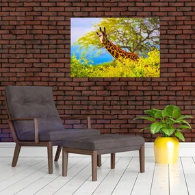 Tablou - Girafa în Africa (90x60 cm)