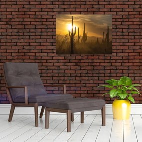 Tablou pe sticlă - Cactuși Saguaro (70x50 cm)