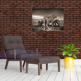 Tablou cu leii alb negri (70x50 cm)