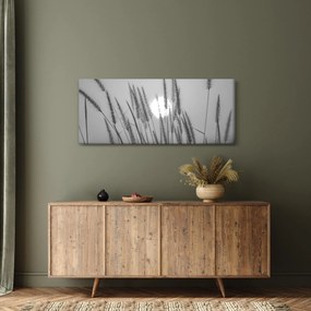 Tablou - Pajiște la apus (120x50 cm)
