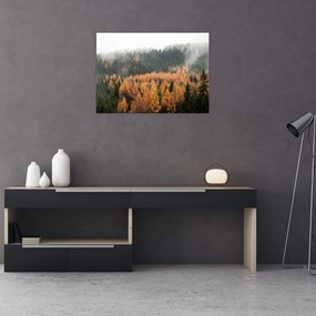 Tablou pe sticlă - Pădure toamna (70x50 cm)