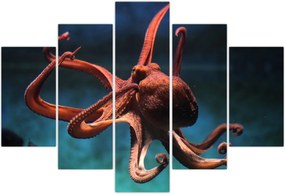 Tablou - Caracatiță (150x105 cm)