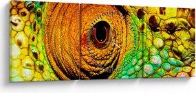 Tablou - Cameleon (cu ceas) (90x30 cm)