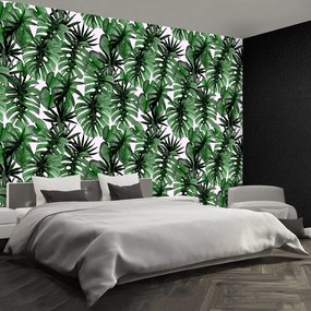 Fototapet Frunze tropicale
