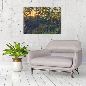 Tablou - Podgorii (70x50 cm)