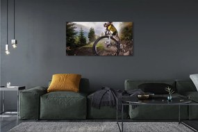 Tablouri canvas Cloud mountain bike