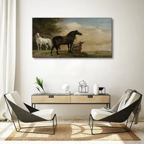 Tablou canvas Peisaj Nori Cer Cai