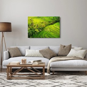 Tablou - Terase de orez (90x60 cm)