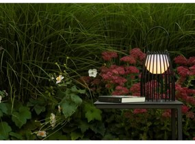 Lampă LED tactilă dimabilă Lucide 06801/01/30 FJARA LED/0,3W/3,7V IP44