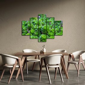 Tablou - Aloe (150x105 cm)