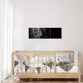 Tablou - Tigru sălbatic (cu ceas) (90x30 cm)