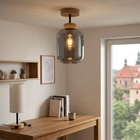 BRILAGI - Lustru LED aplicat R GLASS 1xE27/60W/230V Ø 14 cm stejar/gri fumuriu