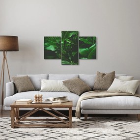 Tablou - Frunze de palmier (90x60 cm)