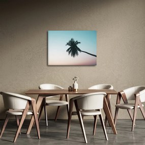 Tablou - Palmier la Bali (70x50 cm)