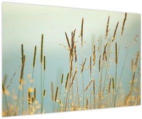 Tablou - Luncă (90x60 cm)