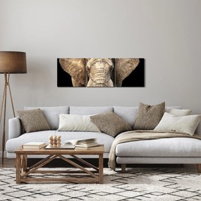 Tablou - Elefant african (cu ceas) (90x30 cm)