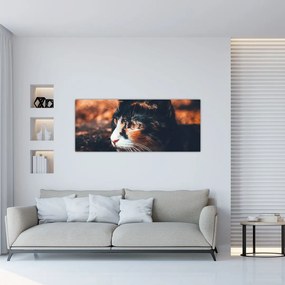 Tablou - Privirea pisicii (120x50 cm)